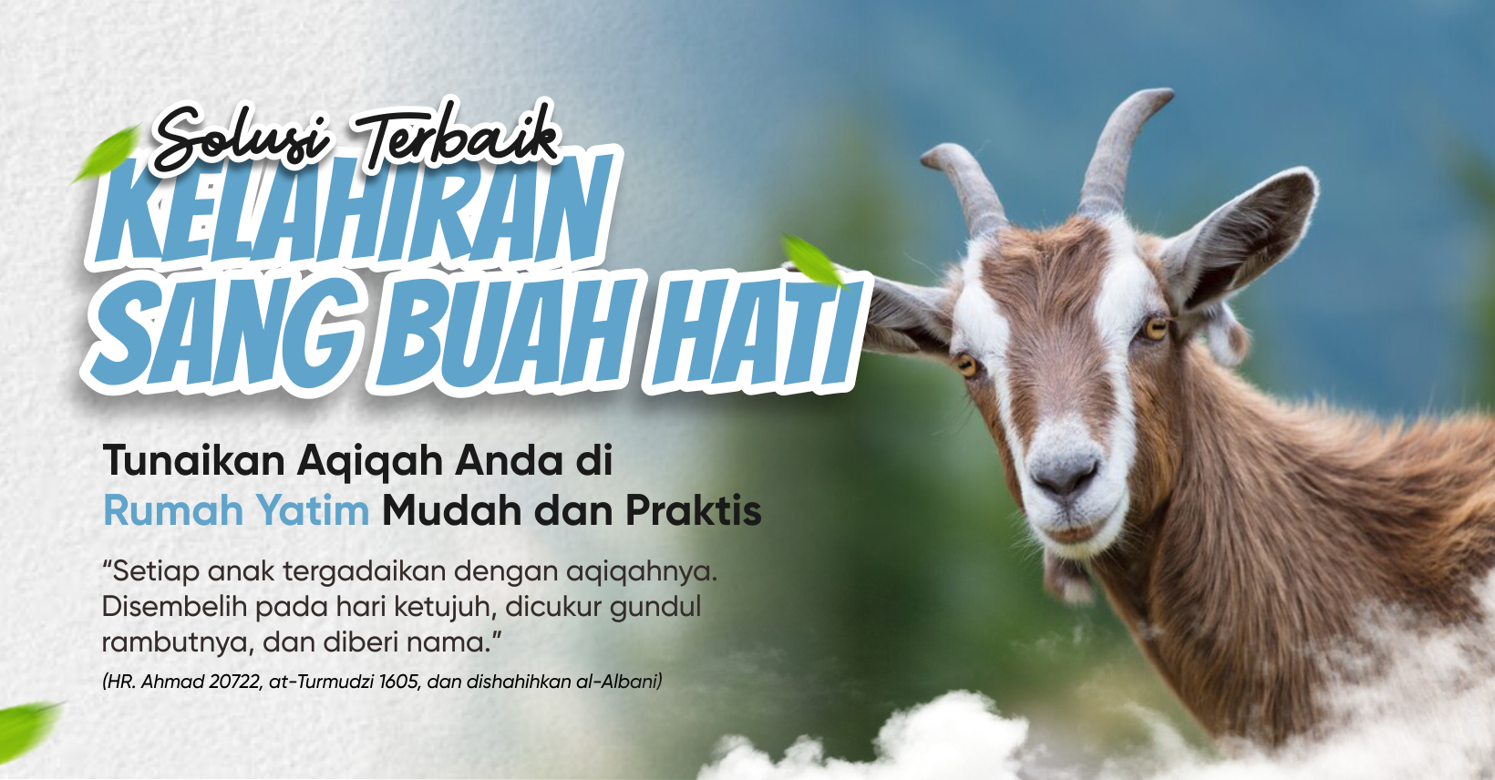 Tunaikan Aqiqah Anda Di Rumah Yatim