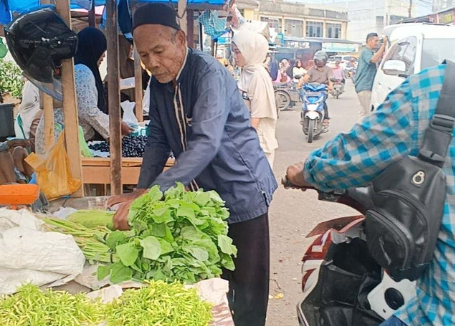 Di Usia 80 Tahun, Kakek Thaib Masih Berjualan Sayur Demi Istrinya