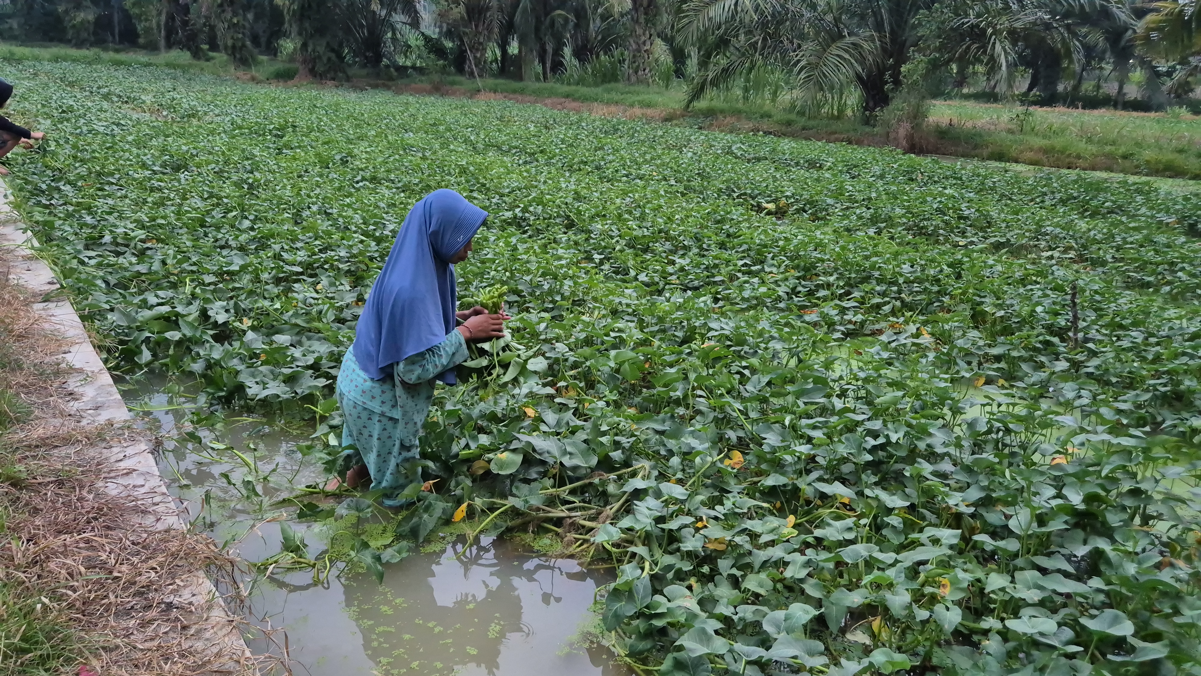 Setelah Ibu Pergi, Nayla Tetap Bekerja Agar Bisa Sekolah