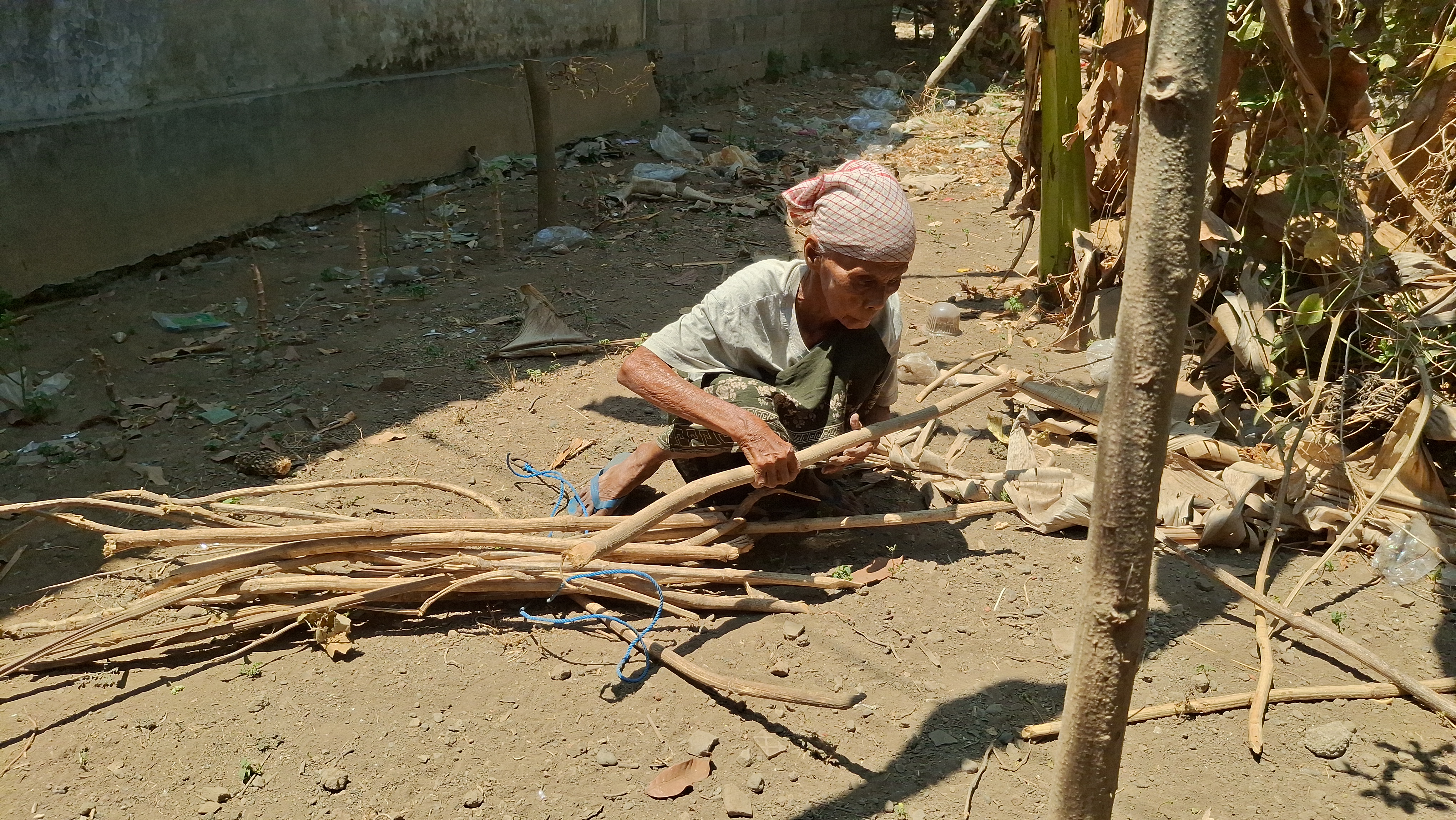 Nenek 70 Tahun Jual Kayu Bakar Demi Bisa Makan